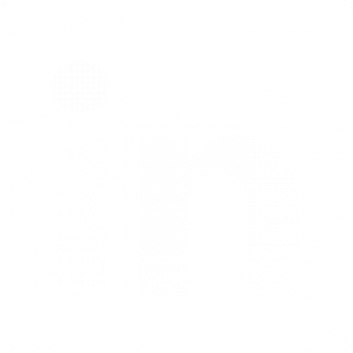 logo-linkedin-255