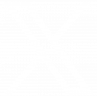X (ex-Twitter)