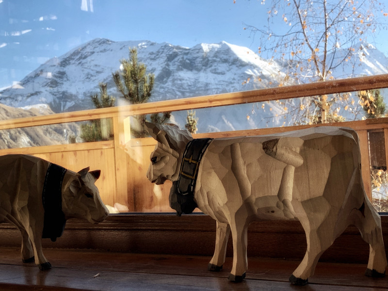 Hôtels Catrems et Montagnou Hôtels Catrems et Montagnou