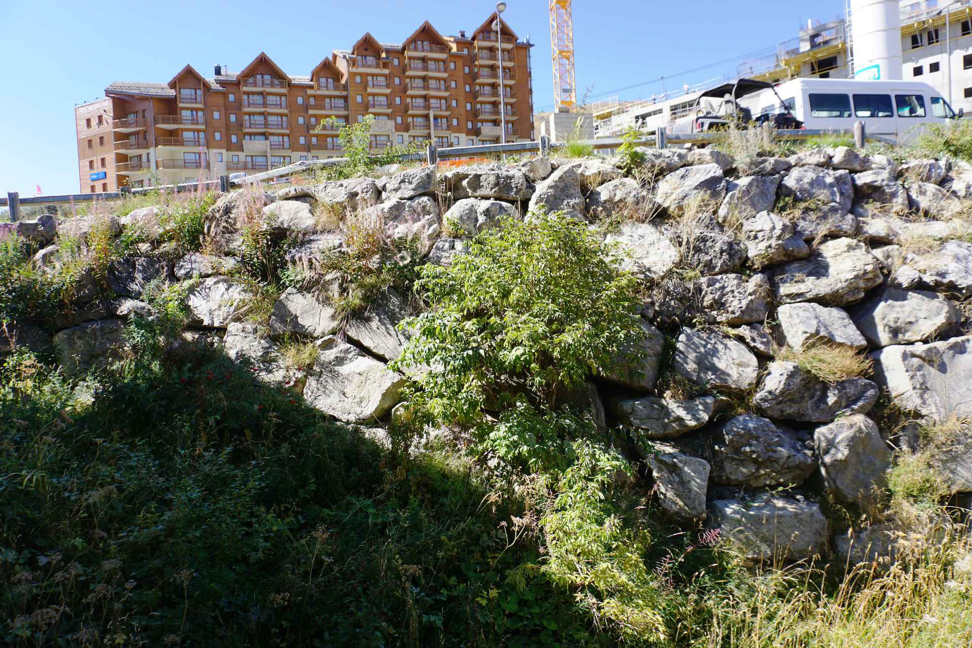 _lv_images___lot_0010950303_07_427141