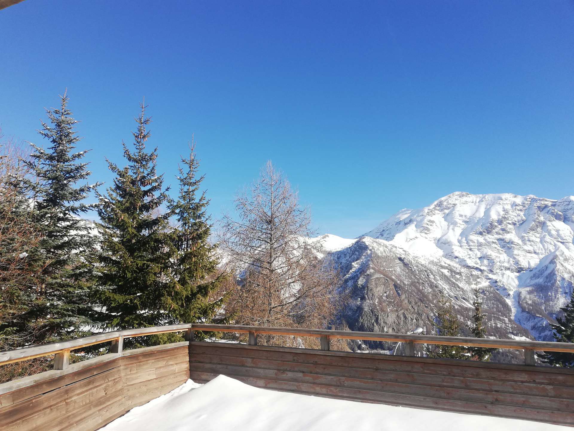 _lv_images__lot_0000080306_13_3255476