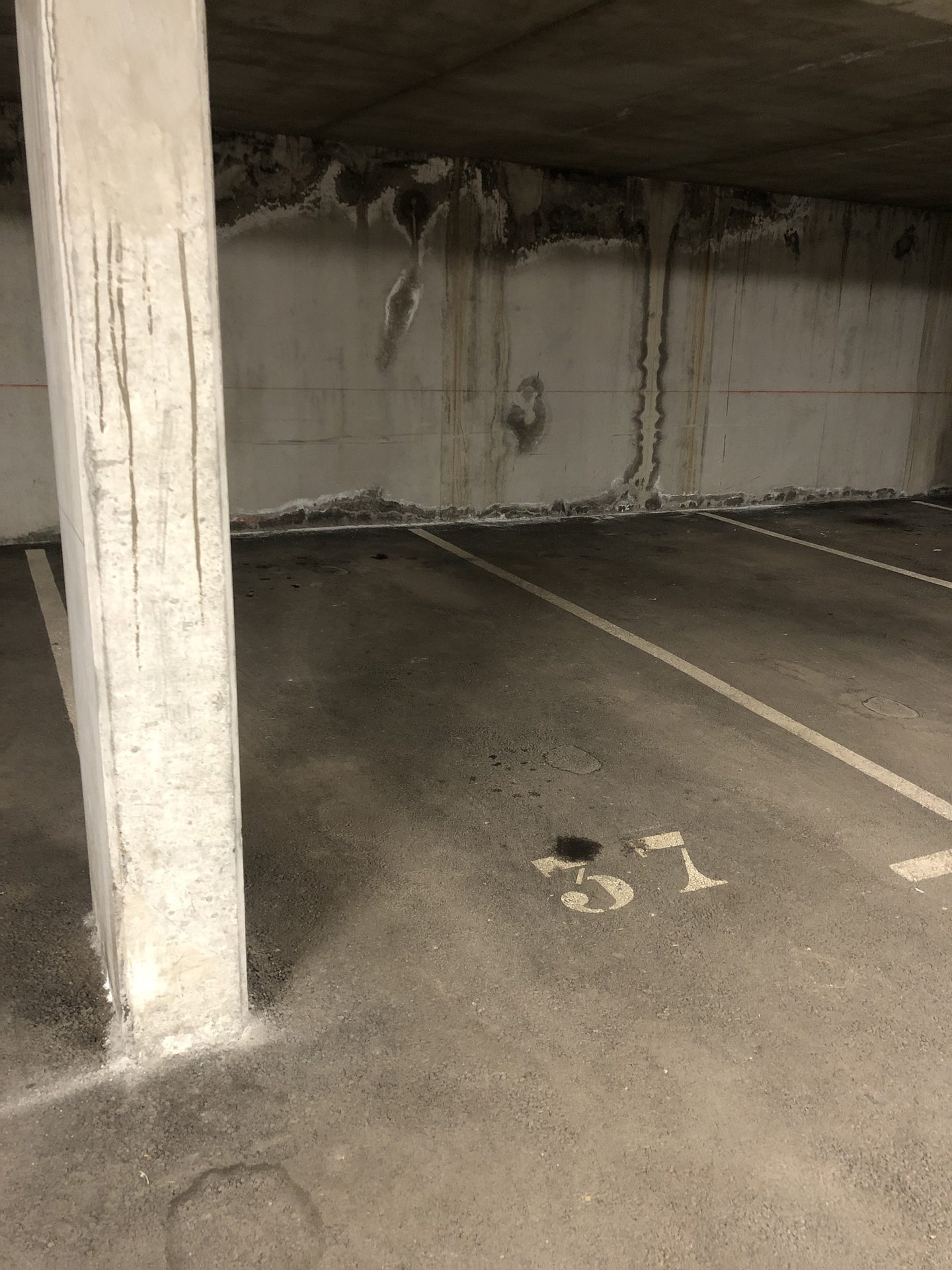 _lv_images__lot_0000450312_16_3168142