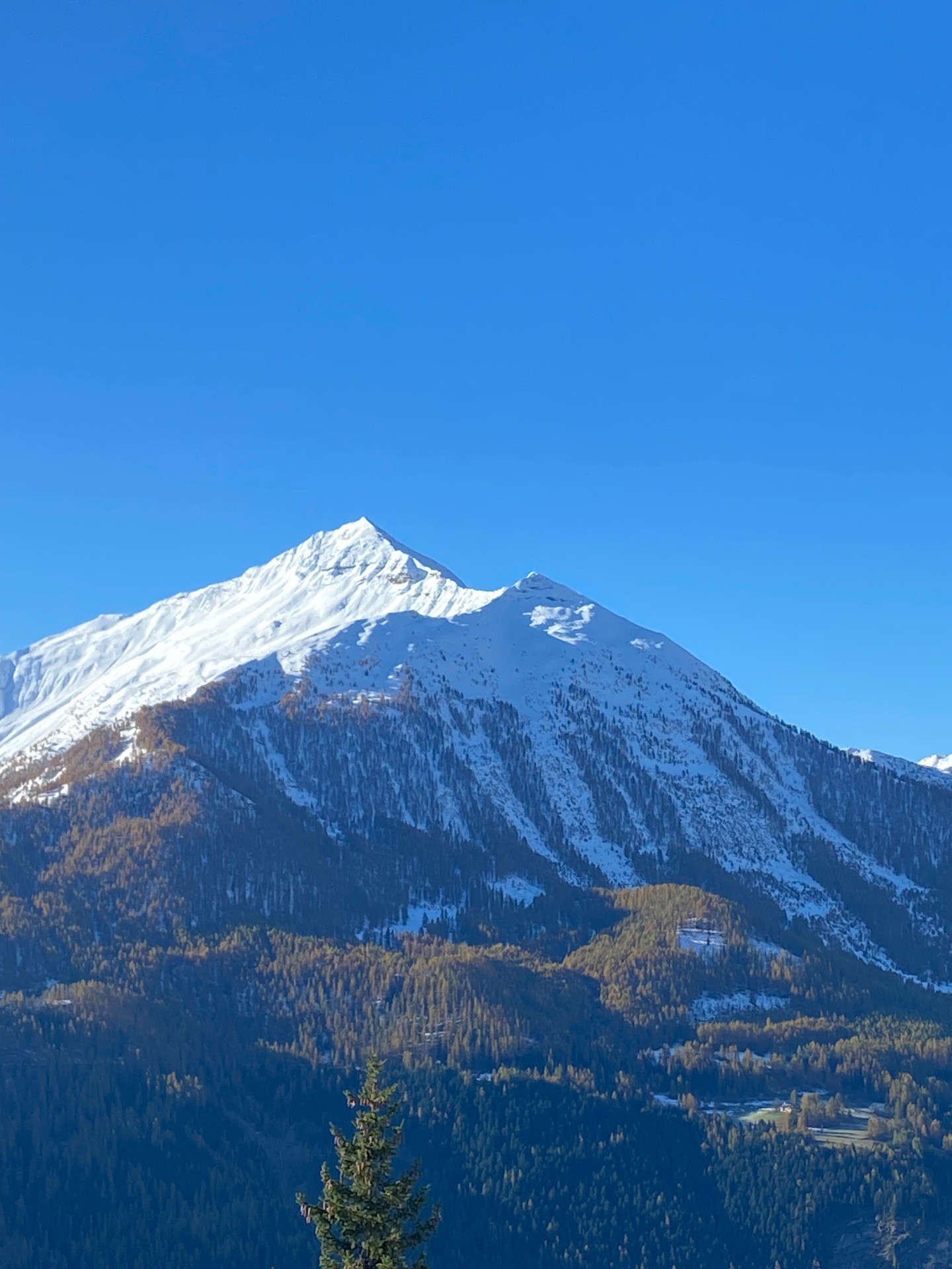 _lv_images__lot_0015200147_08_3369879