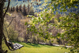 chaletd_05_2026_21.jpg