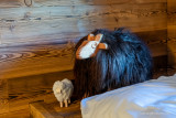 Chalet Le Trappeur 3 pièces 6 personnes_Orcières