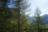 _lv_images__lot_0014500144_08_2917573