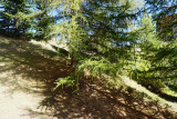 _lv_images__lot_0014500144_09_3659667