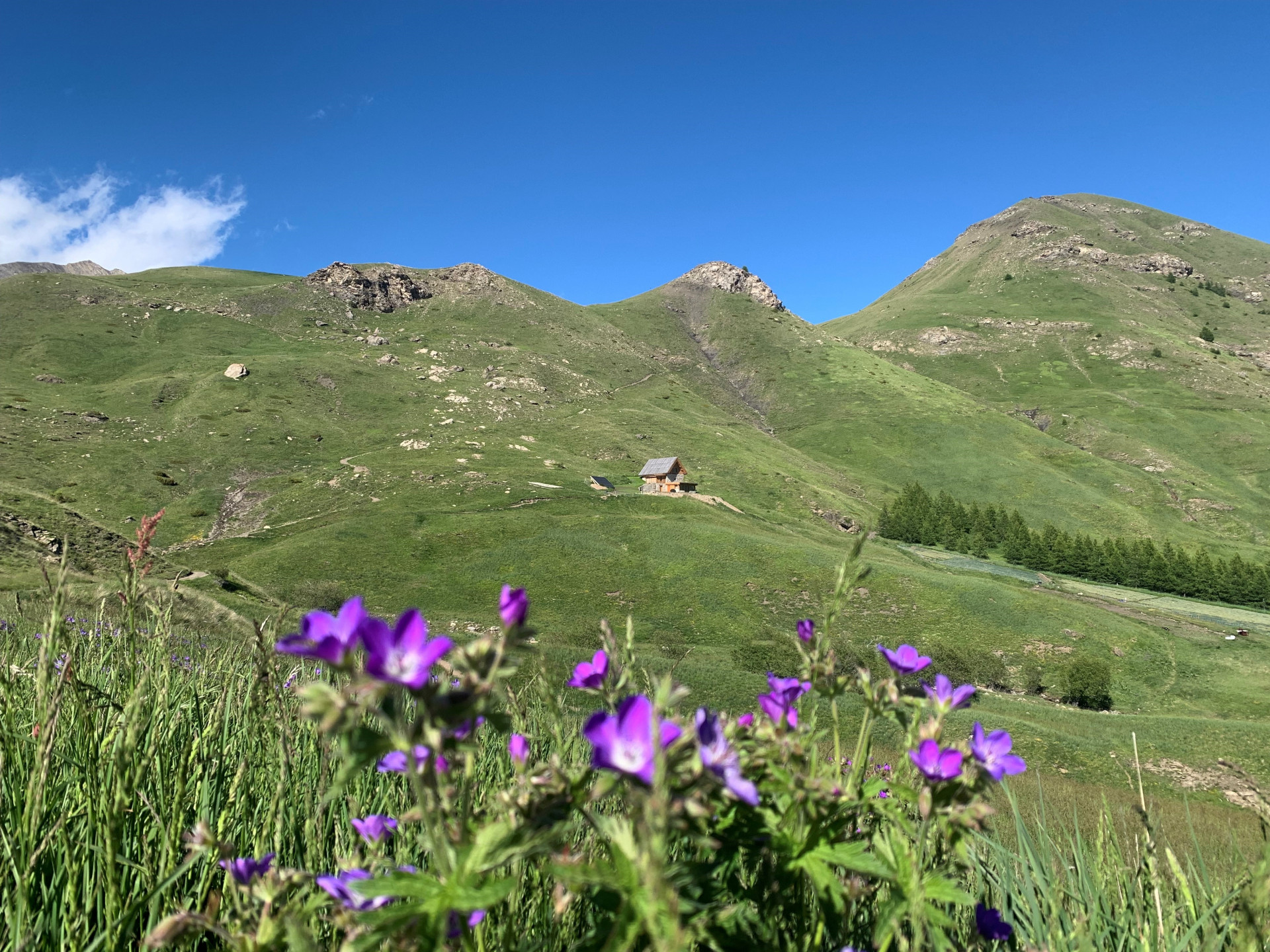 Situation chalet Situation chalet