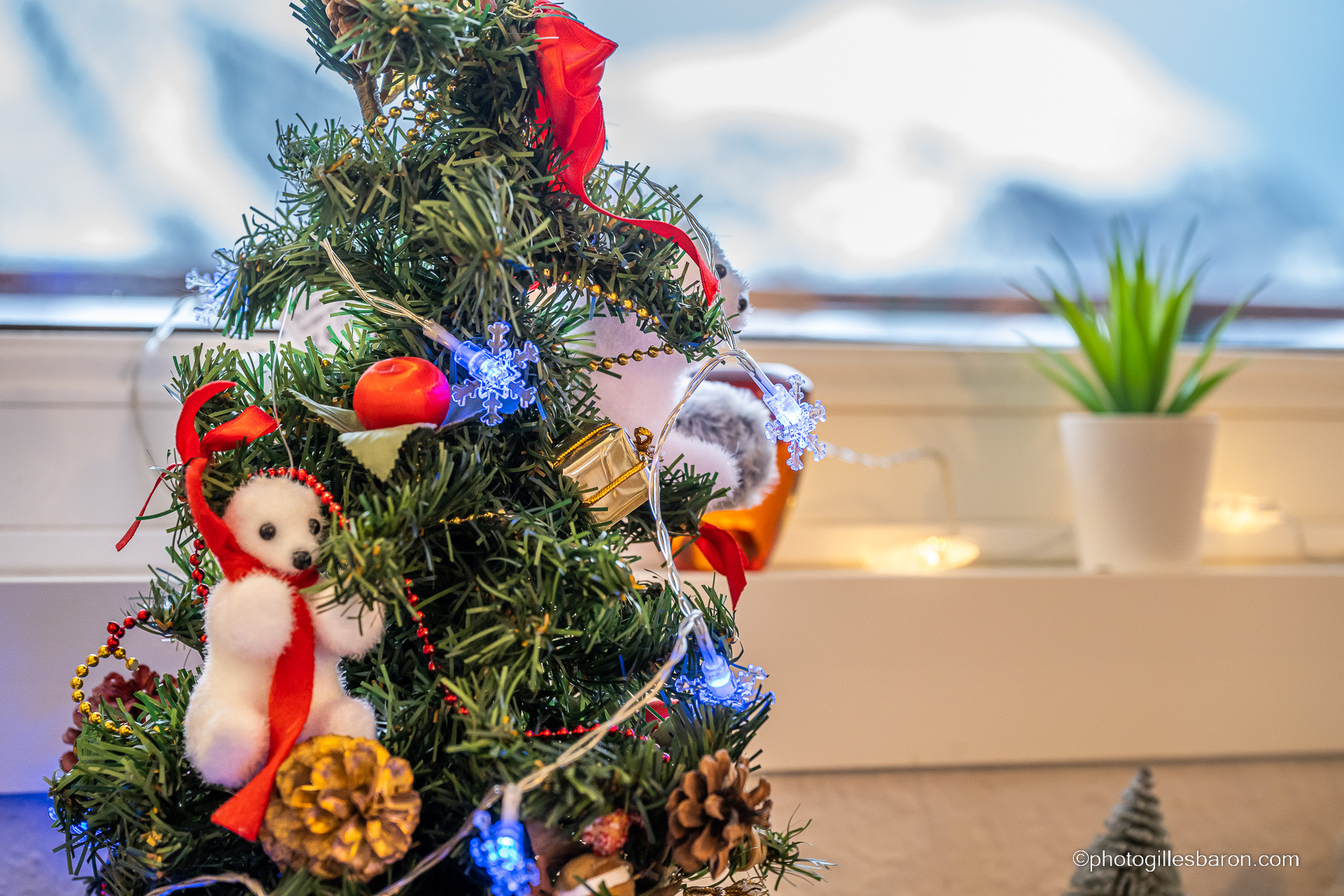 La Muande n°15 La Muande n°15