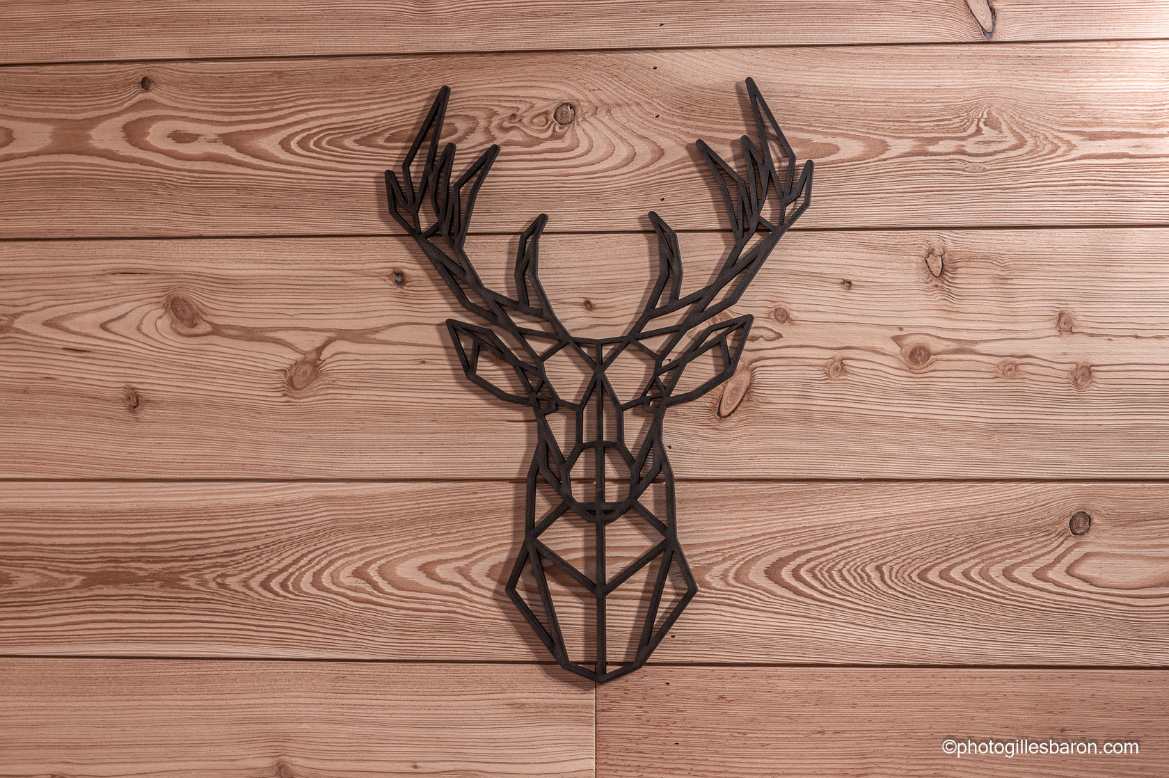 détail - © G. Baron détail