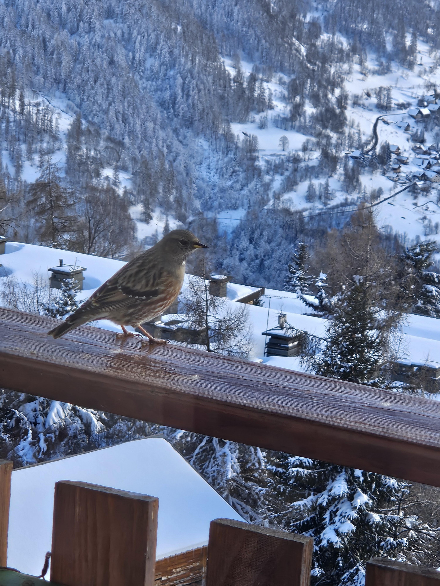 Appartement 3 pièces pour 4 personnes La Muande n°15_Orcières