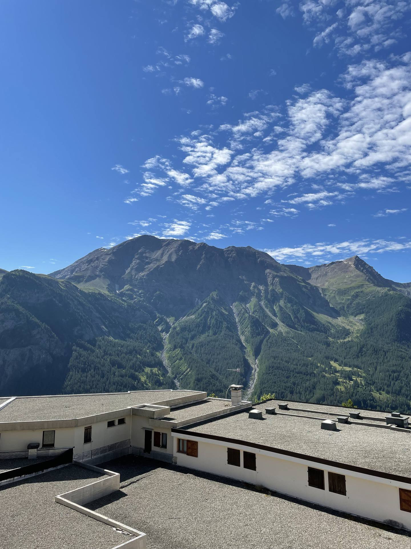 _lv_images__lot_0000030044_14_3354155 _lv_images__lot_0000030044_14_3354155