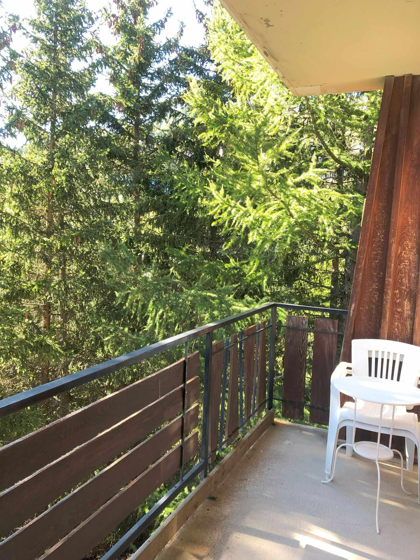 _lv_images__lot_0000450350_11_3470624