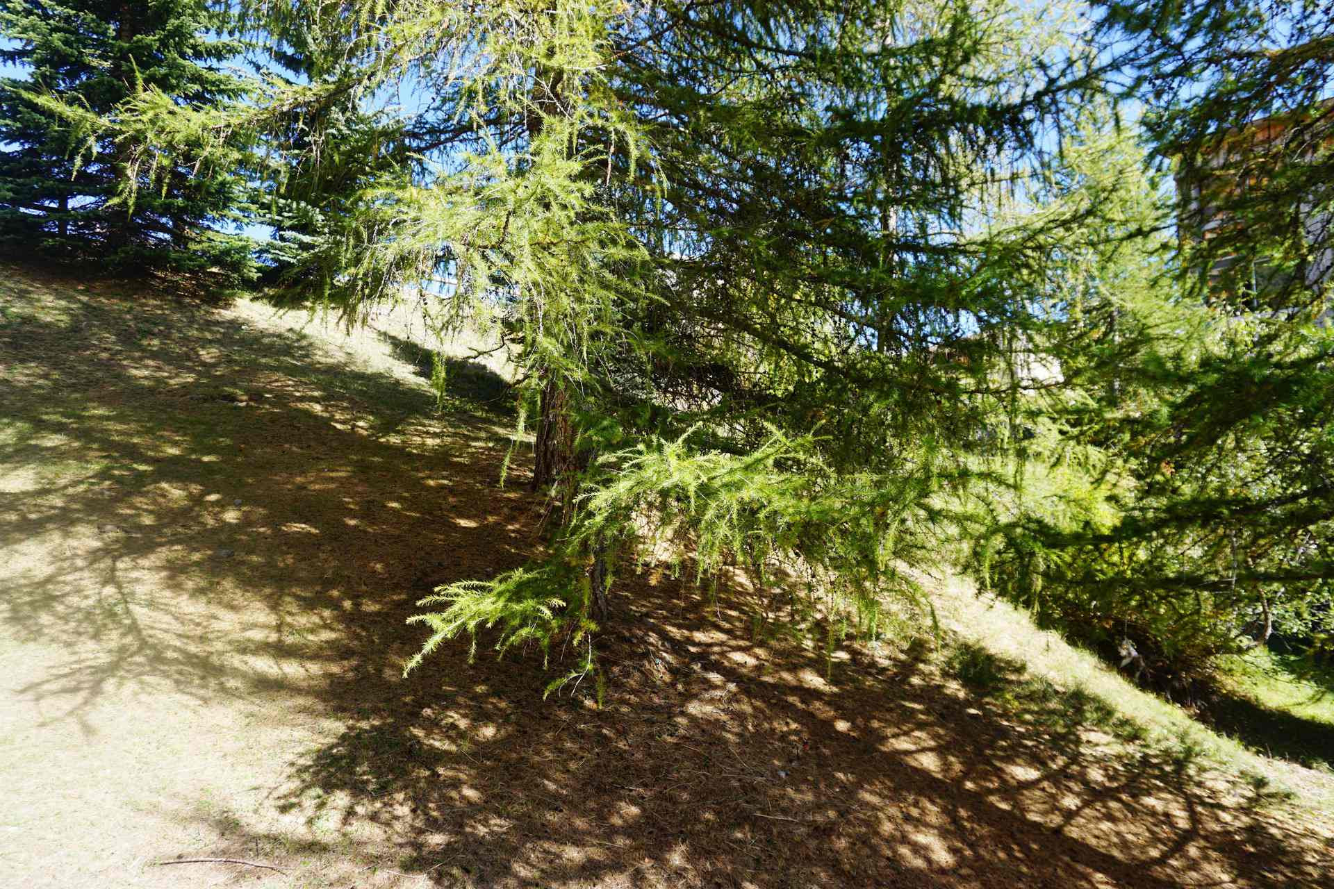 _lv_images__lot_0014500144_09_3392700