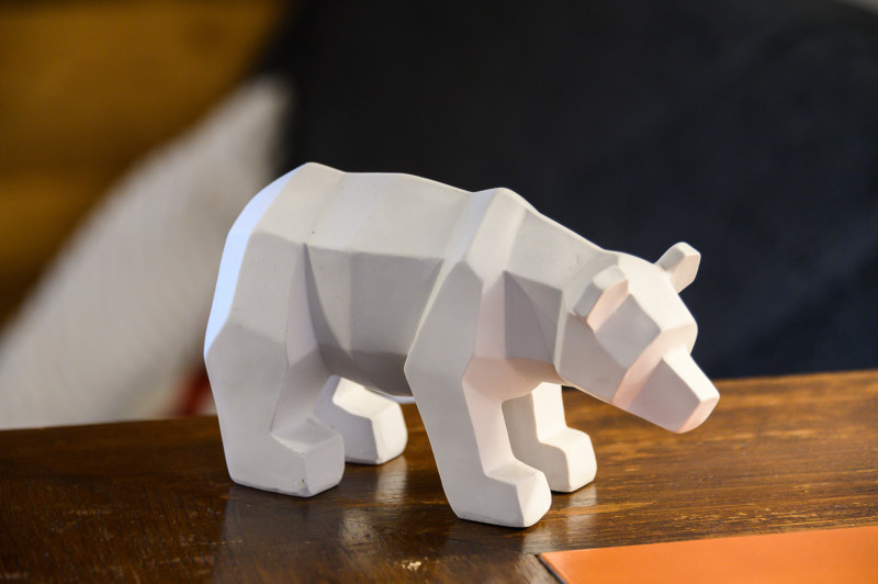 détail ours - © G.Baron détail ours