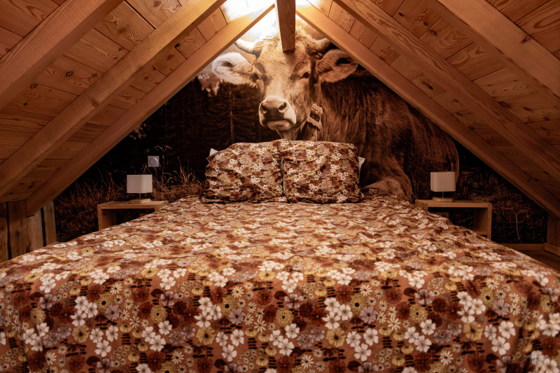 chalet_14.jpg chalet_14.jpg