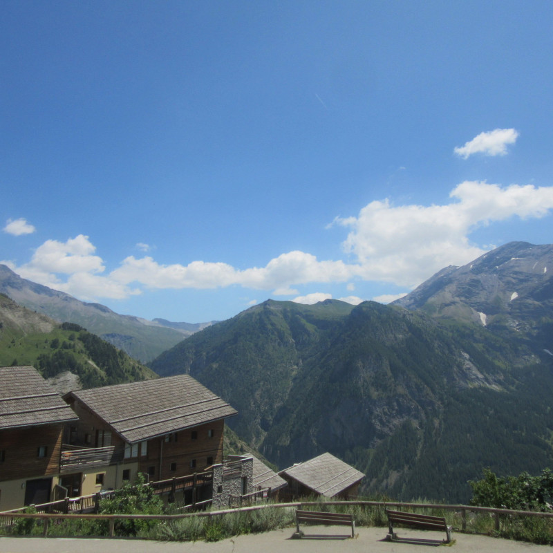 _lv_images__lot_0000050253_08_3367230 _lv_images__lot_0000050253_08_3367230