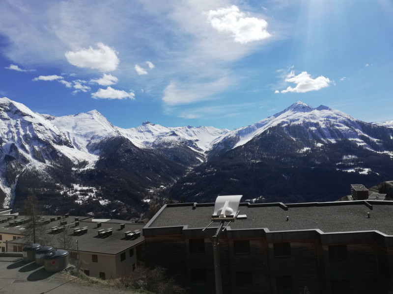 _lv_images__lot_0000250009_11_3229194 _lv_images__lot_0000250009_11_3229194