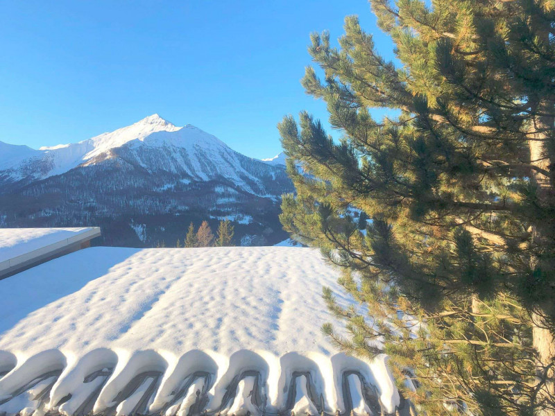 _lv_images__lot_0000450358_11_3366981 _lv_images__lot_0000450358_11_3366981