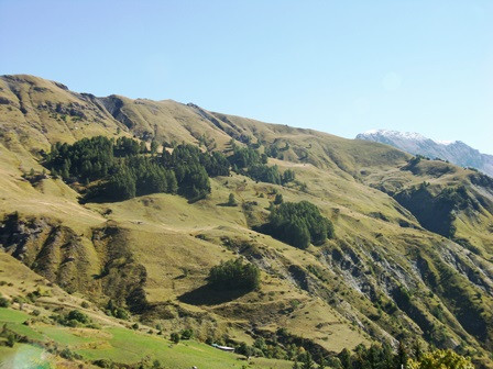 Vue