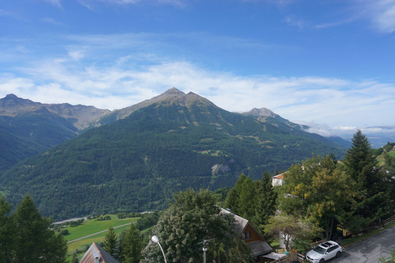 _lv_images__lot_0013800014_13_3401242