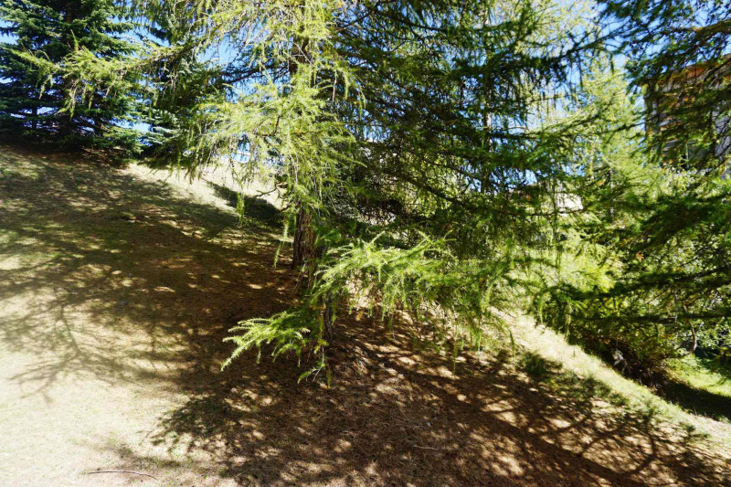 _lv_images__lot_0014500144_09_3328353 _lv_images__lot_0014500144_09_3328353