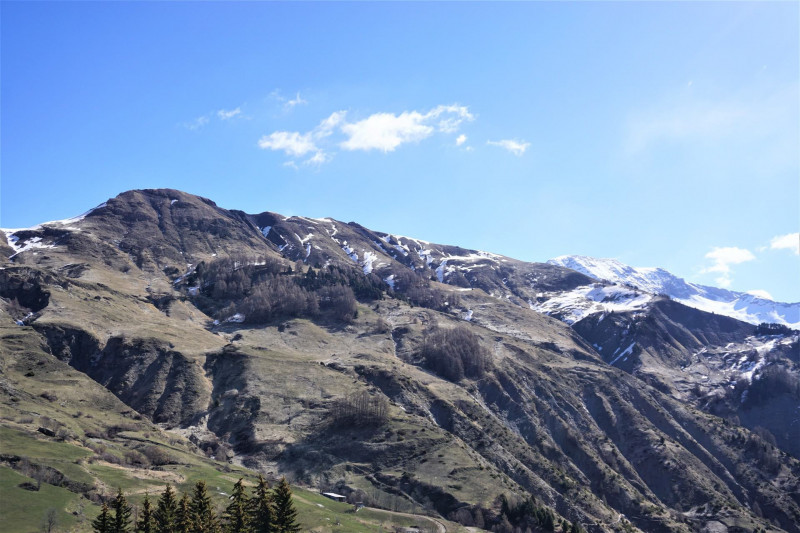 _lv_images__lot_0015200118_11_3591800 _lv_images__lot_0015200118_11_3591800